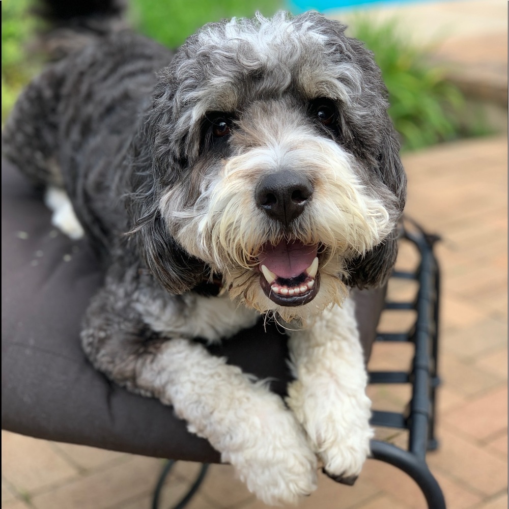 Meet your Posher, Madison